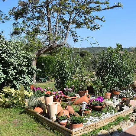 Villa Stazzu Olbia